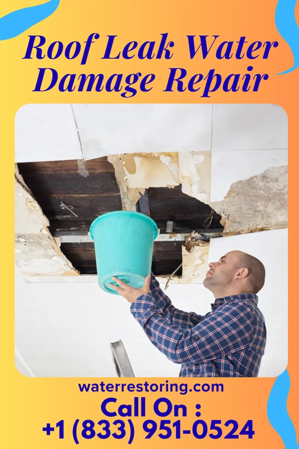 Roof Leak Water Damage Repair in O'Fallon, IL