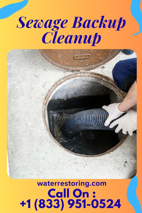 Sewage Backup Cleanup in O'Fallon, IL